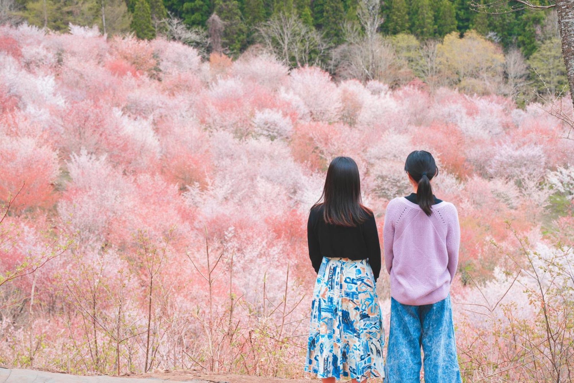 Kitashiobara Urabandai Lake Resort Goshiki No Mori מראה חיצוני תמונה